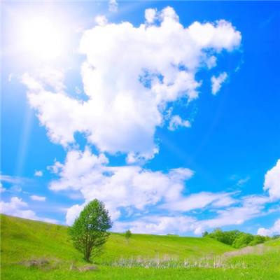 十大正规彩票网站