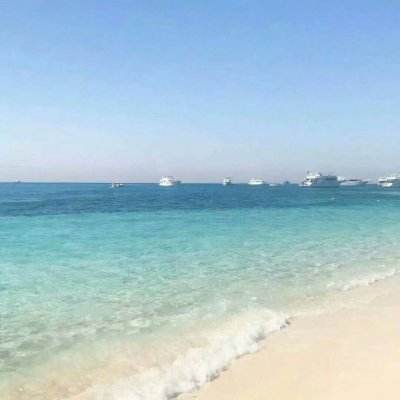 波胆app官网手机app下载