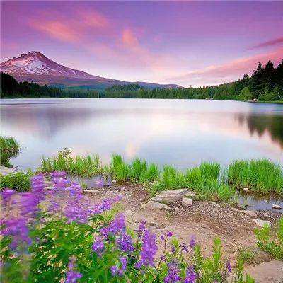 天天彩神welcome截图