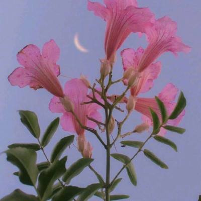 金博宝手机app下载